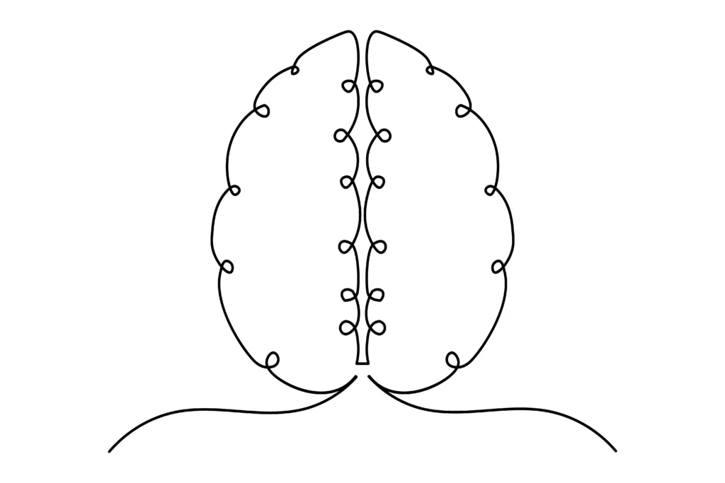 How Neuroplasticity Works 77f95aca 76eb 4027 Bcfe 0786ec68b27c 1024x683