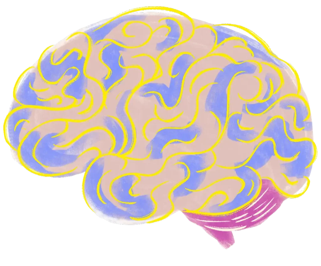 Illustration of a human brain representing emotional awareness and neuroplasticity